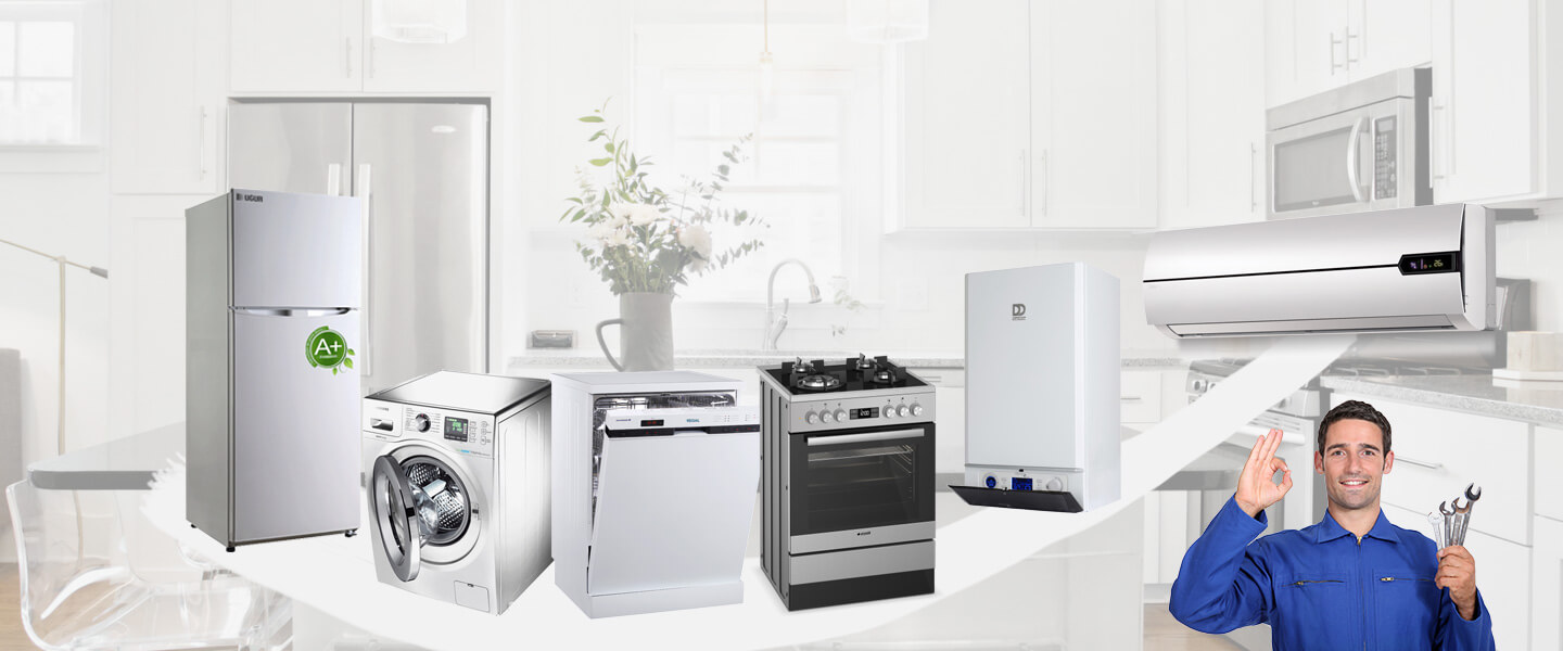 Güzelbahçe Toshiba Servisi